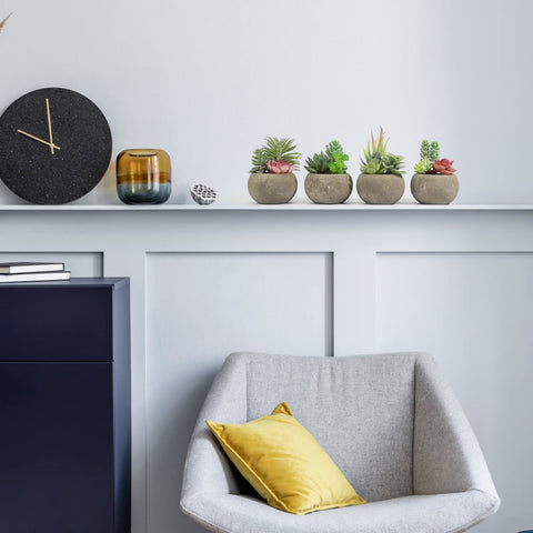 SPEPLA succulent decor for home office creates a calm workspace.