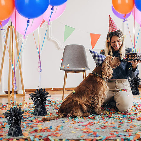 SPFYunion ideal for corporate events and holiday party decorations.