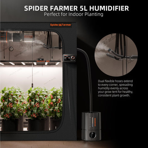 Y-shaped vapor outlet on Spider Farmer humidifier for even mist distribution