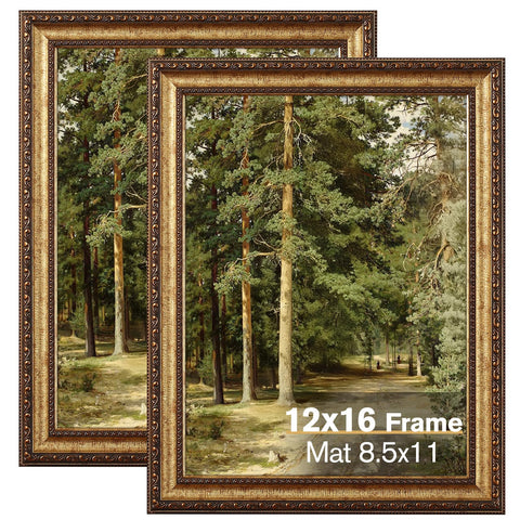 Splinterix 12x16 gold frame front view highlighting ornate vintage detailing for wall display.