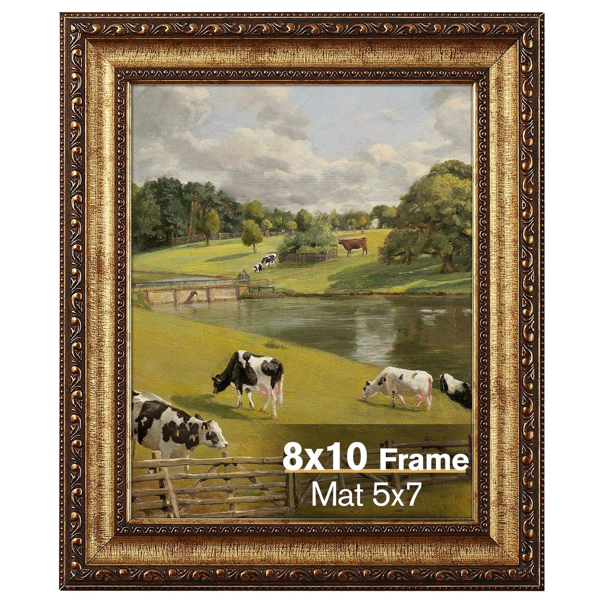 Splinterix 8x10 antique bronze frame close-up with ornate detailing for vintage display