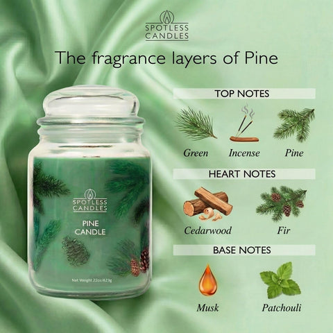 Spotless Leopard Pine Forest Aroma fills a room with crisp evergreen and eucalyptus notes