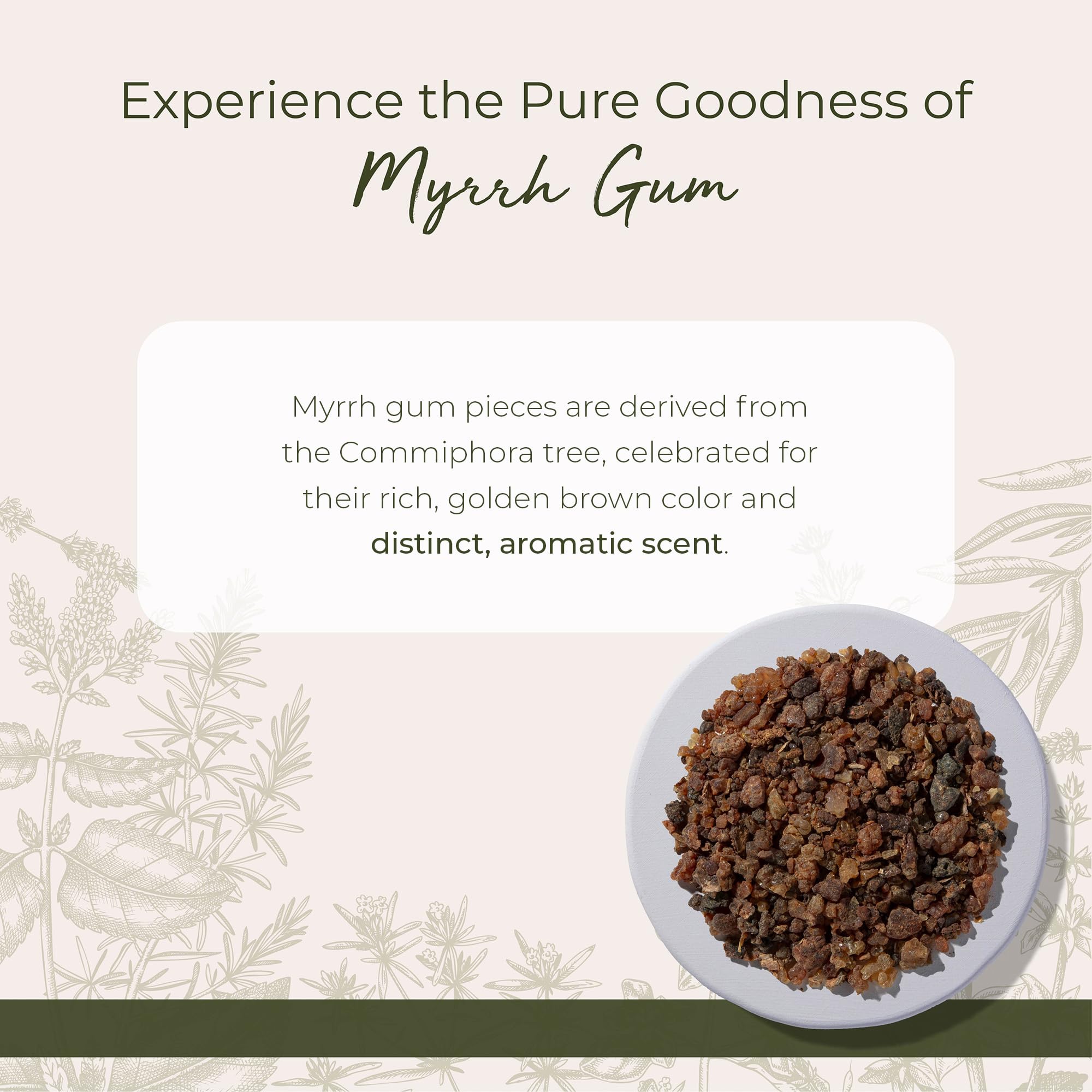 Starwest Botanicals myrrh gum aroma for oils infusion and mood-enhancing blends.