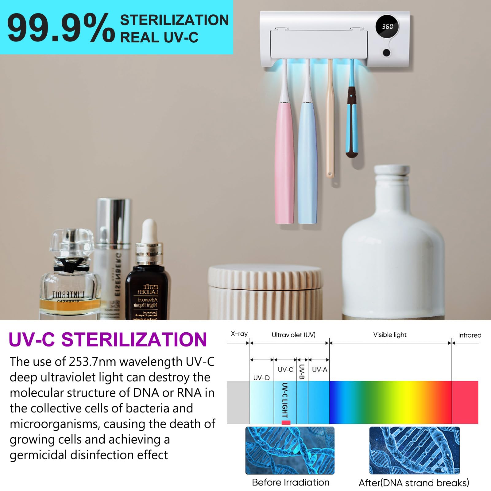 StarWin UV toothbrush holder wall mount demonstrates space-saving design