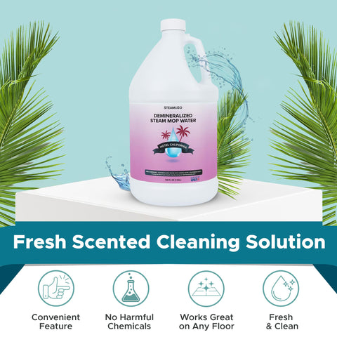 Steam and Go ready-to-use bottle shows no-mess convenience for quick cleaning sessions.