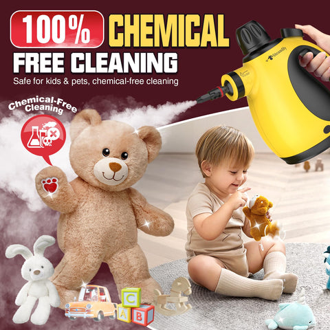 Steamify car interior cleaning with steam for a fresh, chemical-free result