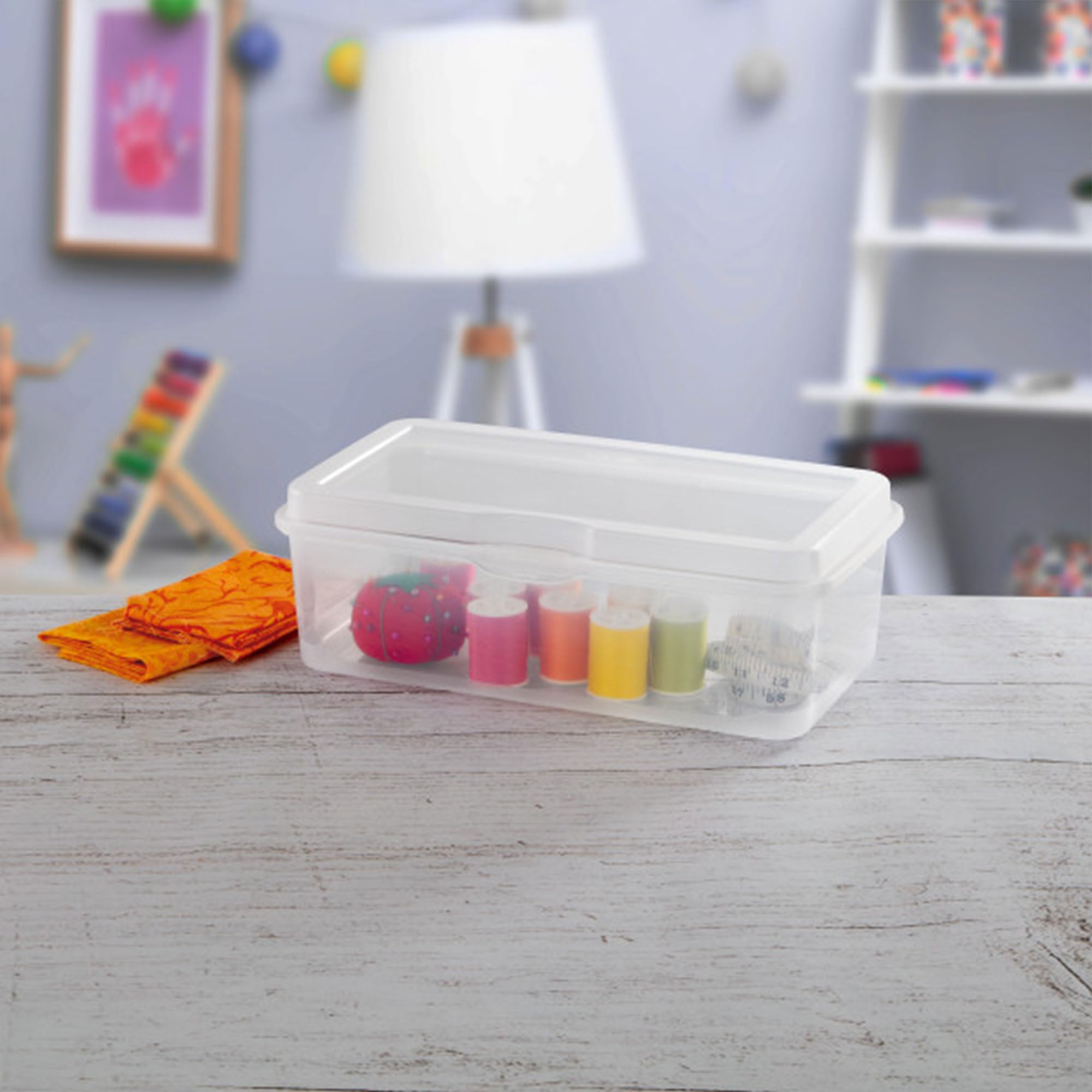 Sterilite container organizing photos and CDs for easy access.