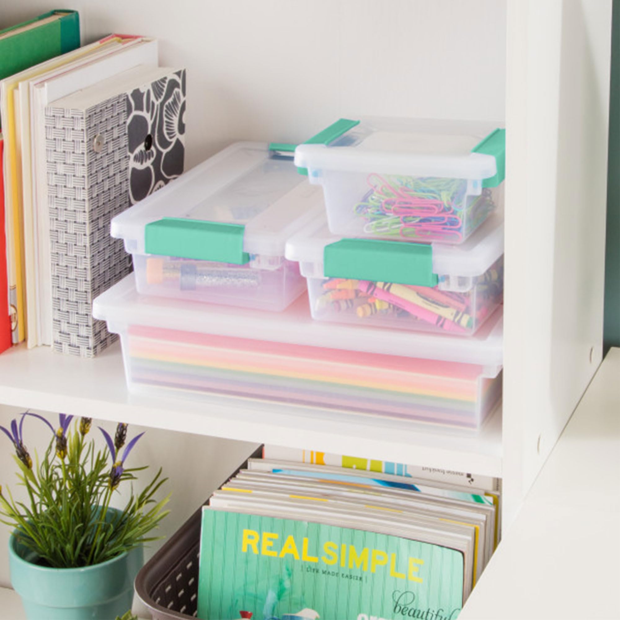 Sterilite USA-made BPA-free storage for everyday use.