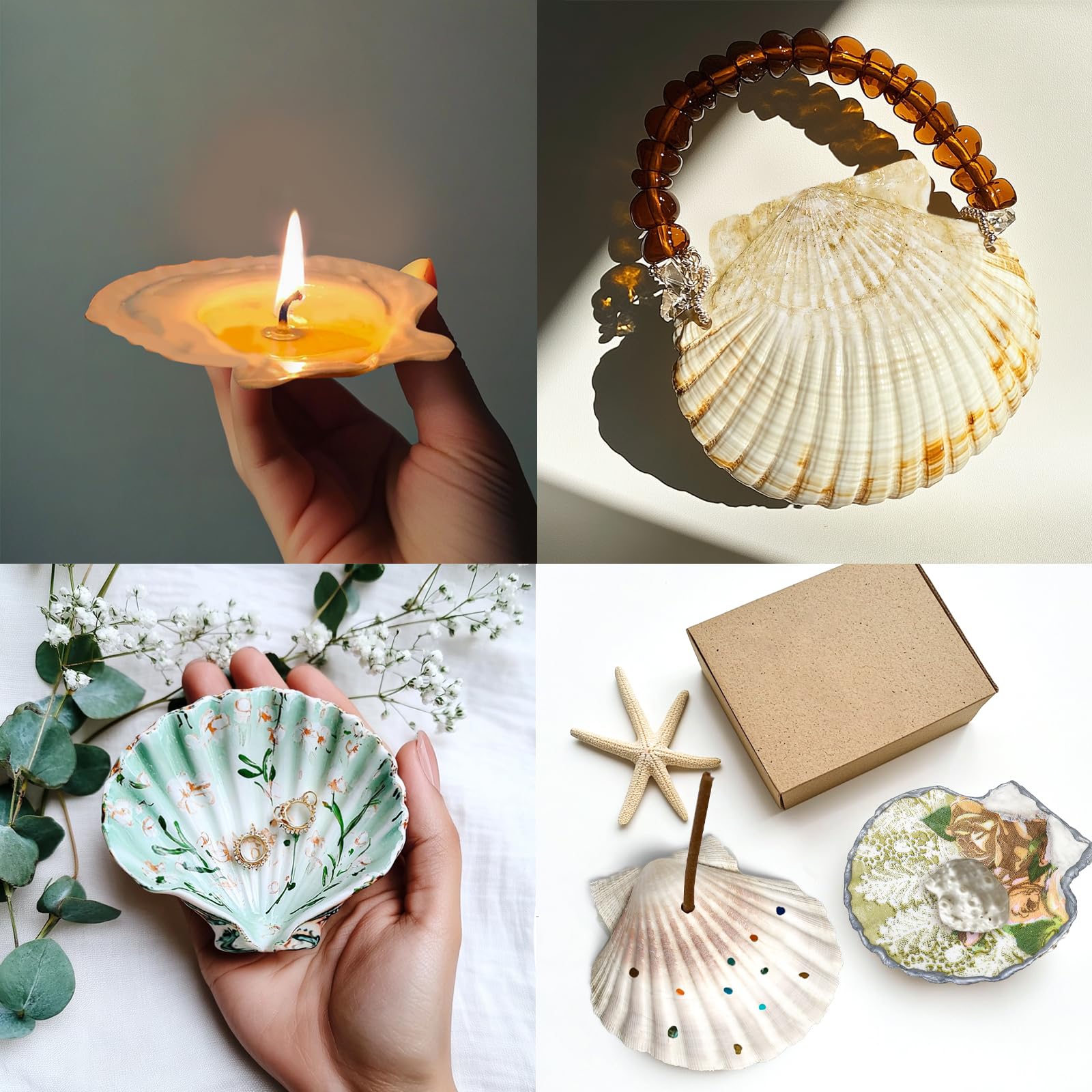 Stonechic large shells for decoupage crafts and DIY projects.