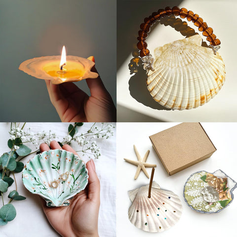 Stonechic large shells for decoupage crafts and DIY projects.