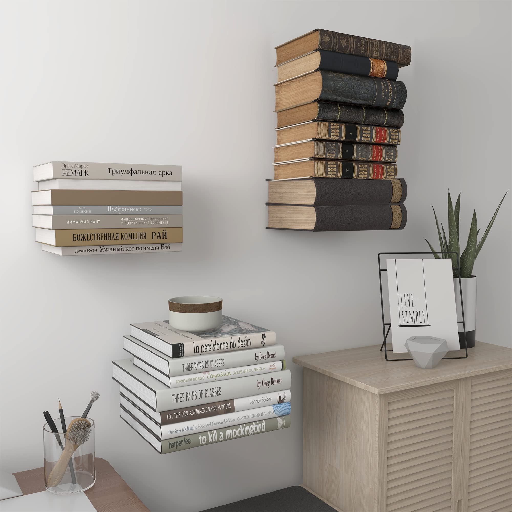 Storage Maniac space-saving wall shelf elevates decor while keeping books accessible