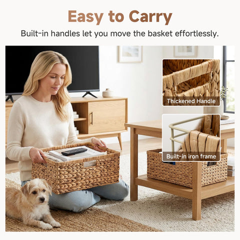 StorageWorks water hyacinth basket organizing books in a living room shelf