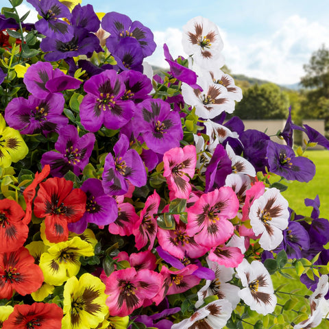 StyleNest pansy blooms in hanging planters add vertical interest.