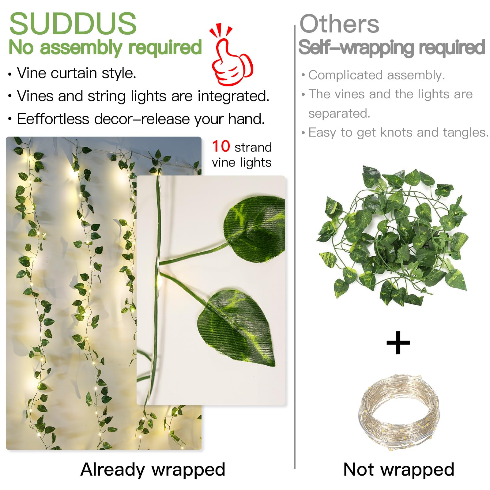 suddus dorm room vines brighten walls and ceilings