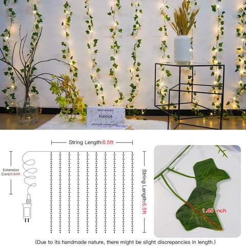 Suddus warm ambient lighting enhances walls, bedrooms, and event backdrops.