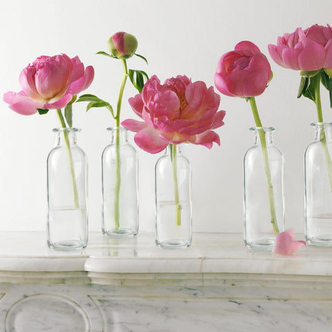 SUJUN classic bud vase ideal for weddings, hotels, and home tables