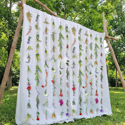Suncalla garland used on a wedding arch for romantic decor