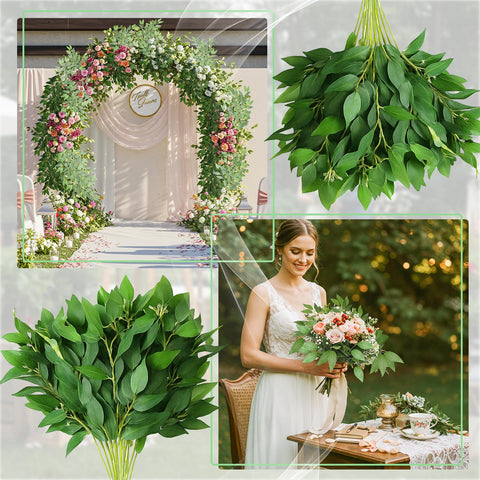 Suncalla Italian Ruscus stems used on a wedding arch backdrop.