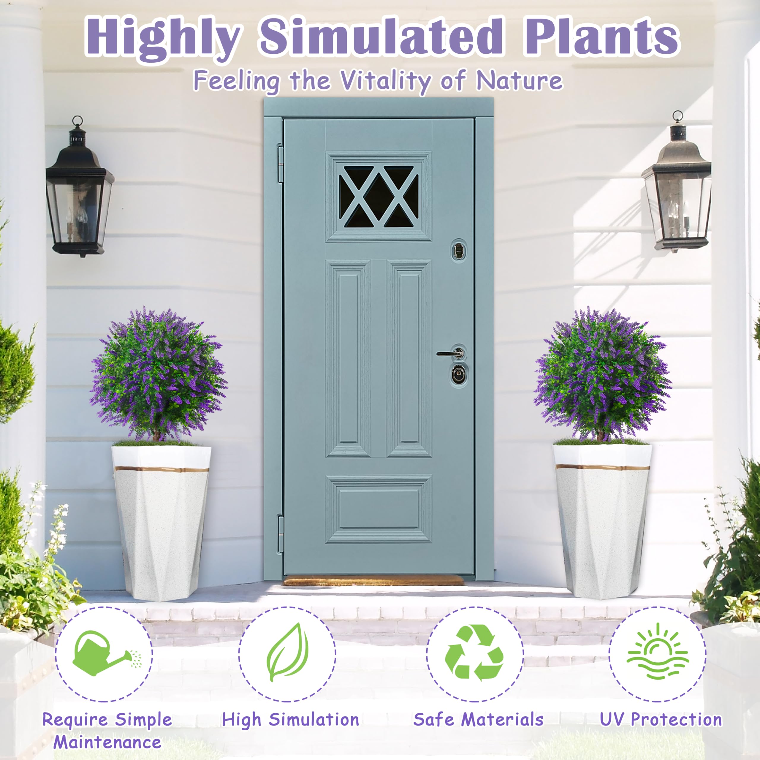 Sunnyglade lavender topiary outdoors adds year round color and charm.