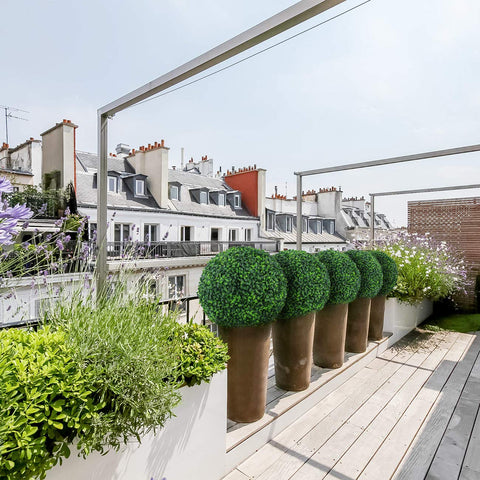 Sunnyglade topiary ball patio outdoor design for stylish spaces.