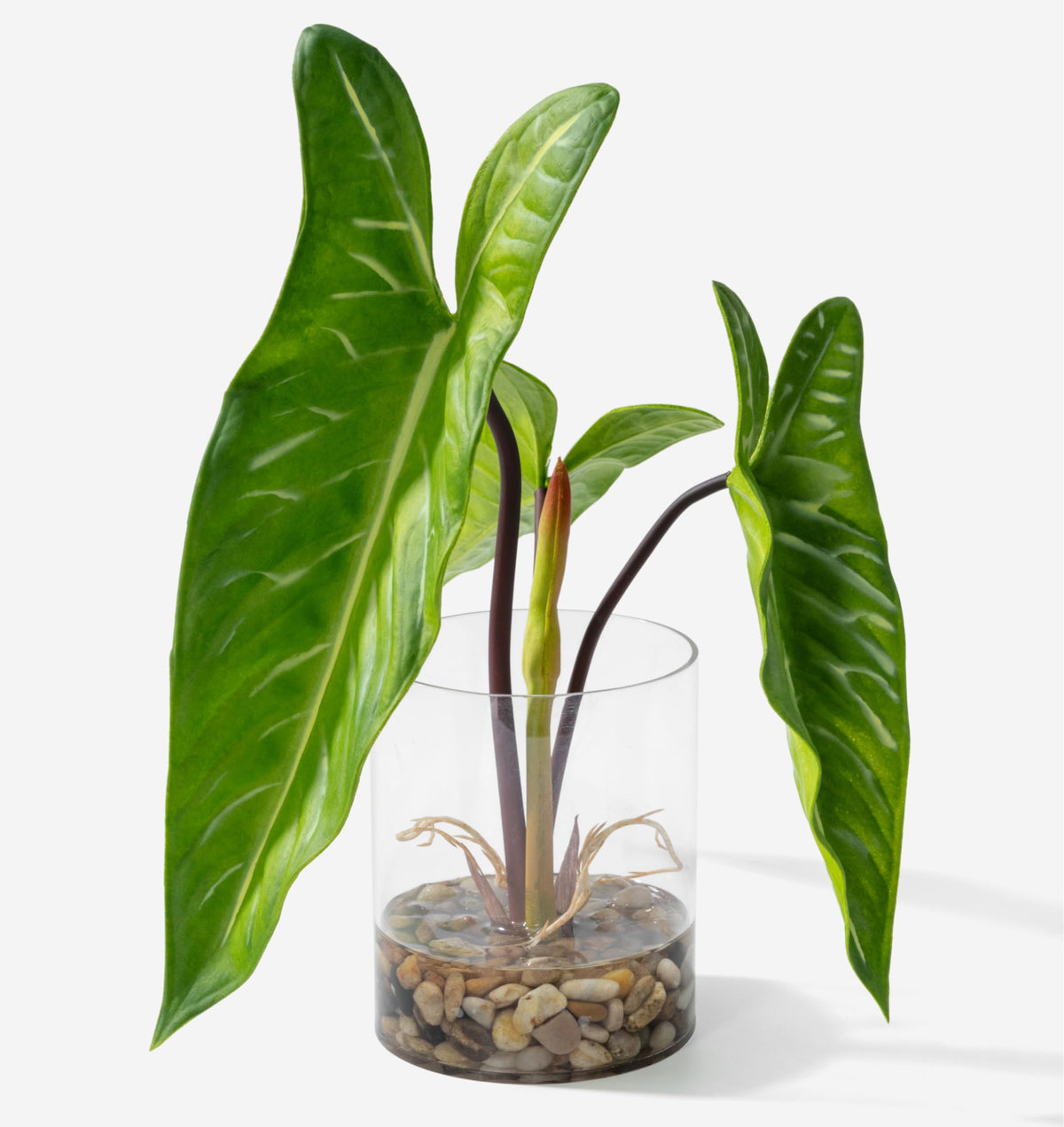 SUNPRAIRIE realistic plant in clear pot with simulated water for elegant indoor display