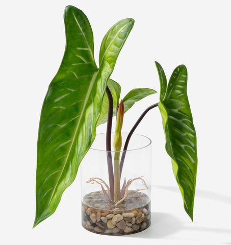 SUNPRAIRIE realistic plant in clear pot with simulated water for elegant indoor display