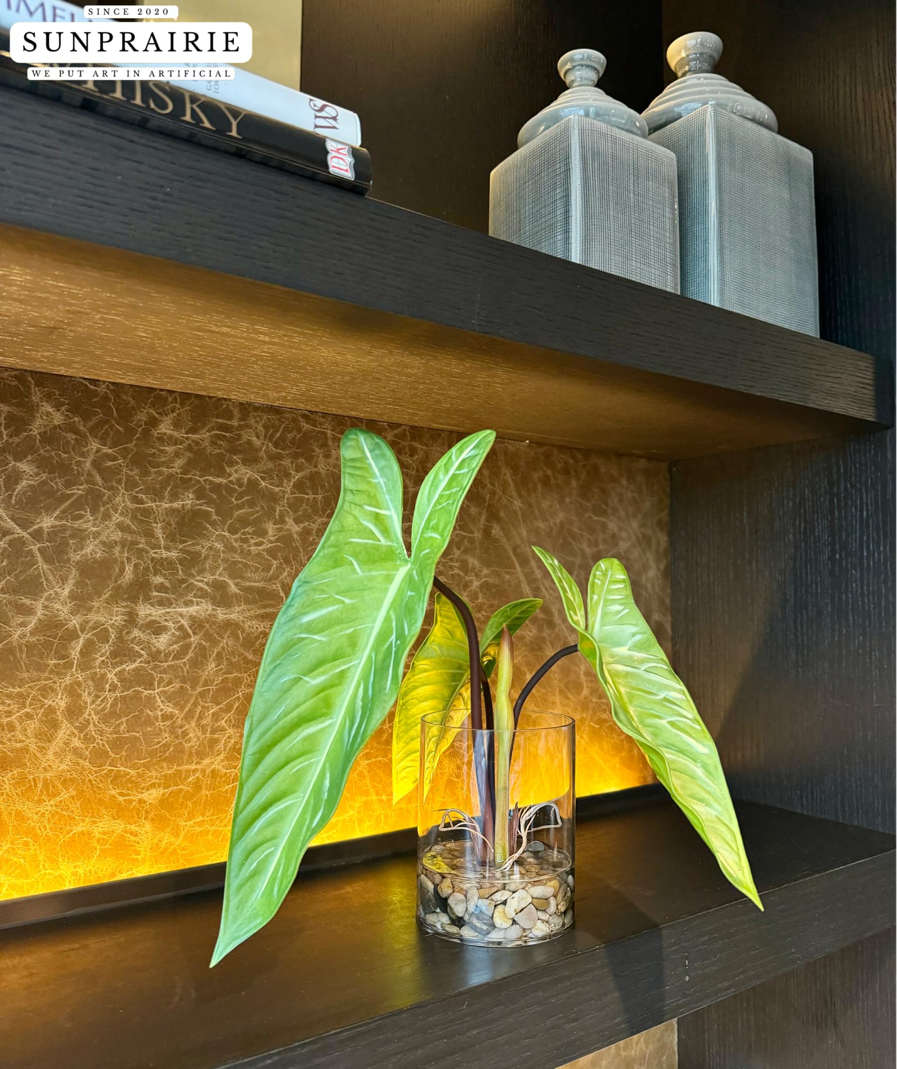 SUNPRAIRIE clear glass pot plant enhances decor with water illusion