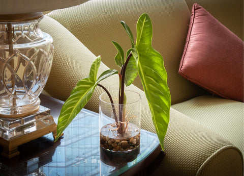 SUNPRAIRIE realistic greenery with suede-like leaves for premium touch