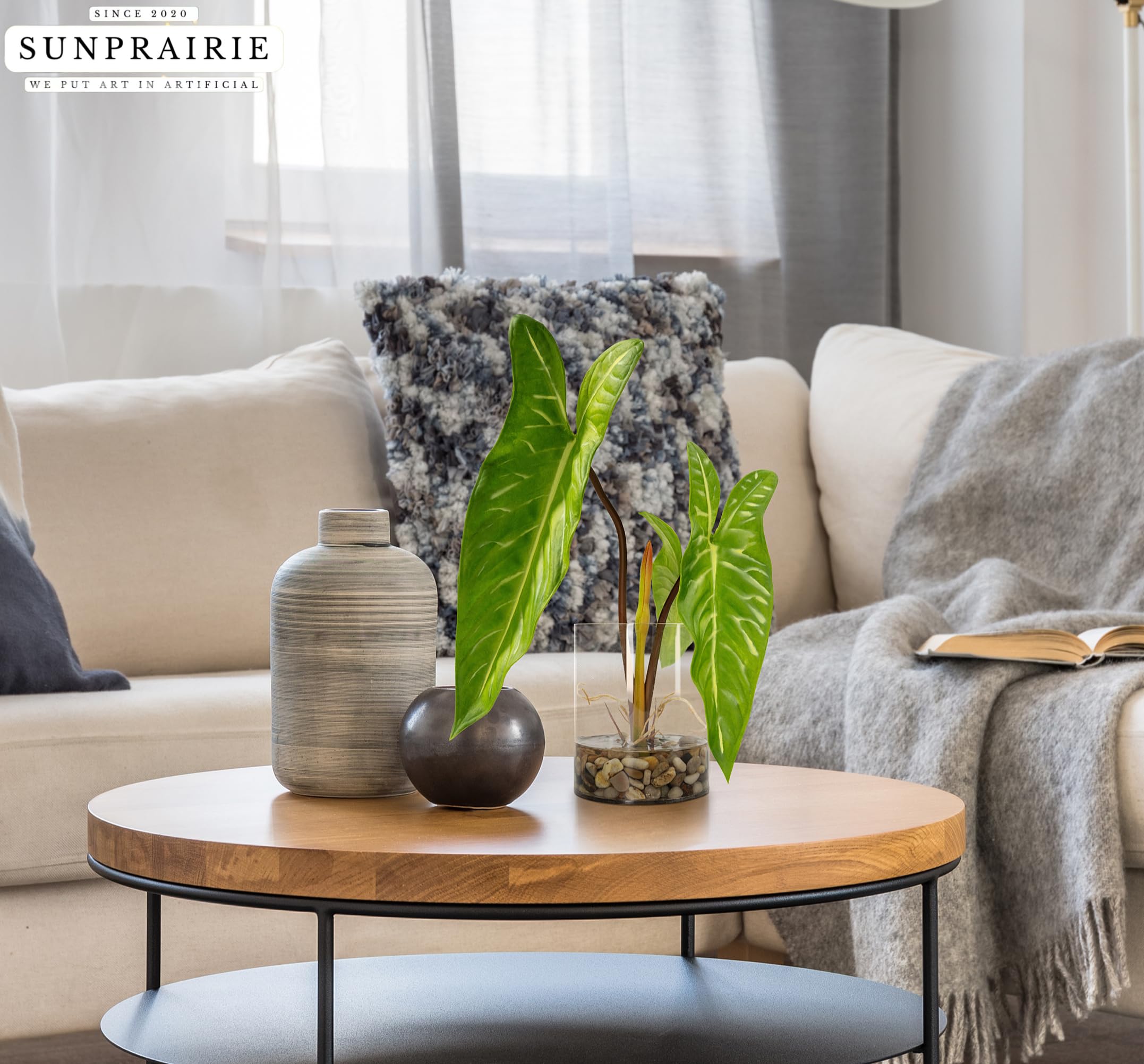 SUNPRAIRIE narrow arrowhead leaves add natural texture without maintenance