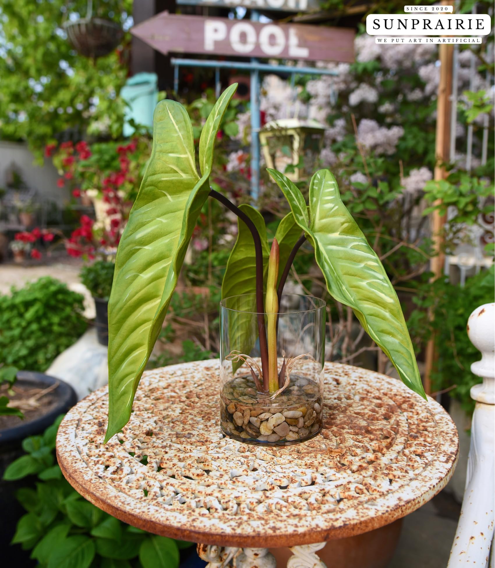 SUNPRAIRIE plant in glass pot showcases submerged stones and lifelike roots