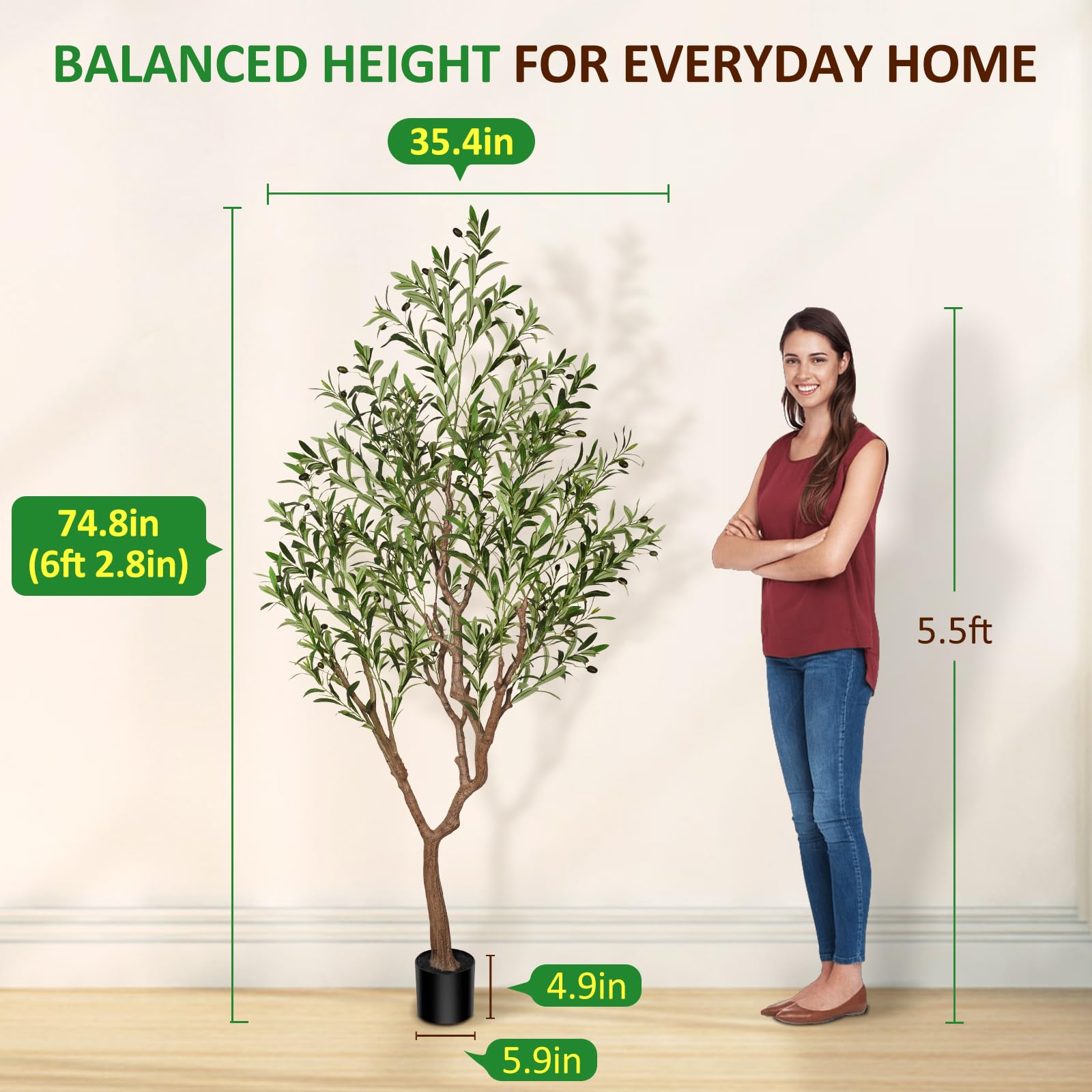Suntee olive tree with large olive branches for lush spaces.