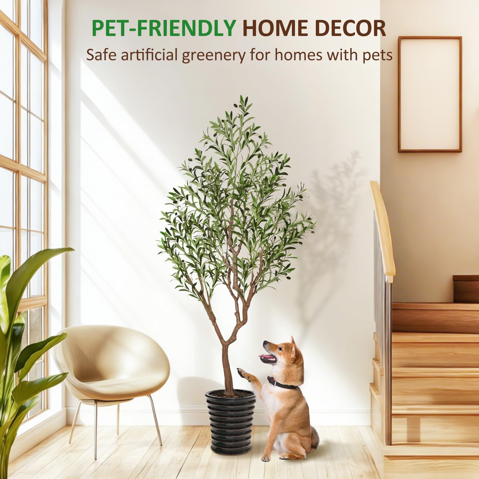 Suntee olive tree indoor decor adapts to apartments, living rooms, and offices.