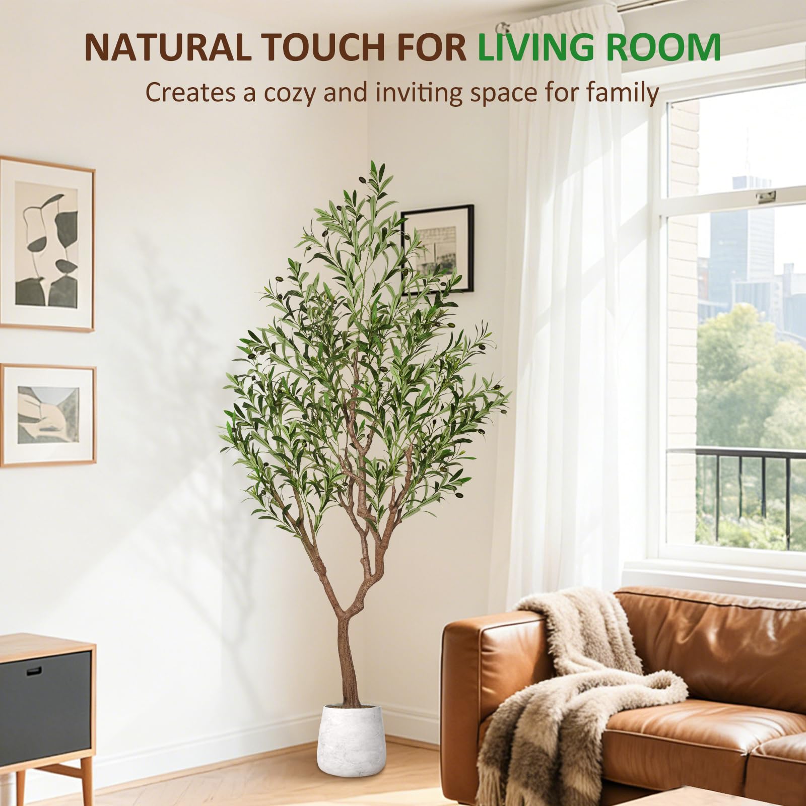 Suntee olive tree no-soil design helps keep interiors cleaner.