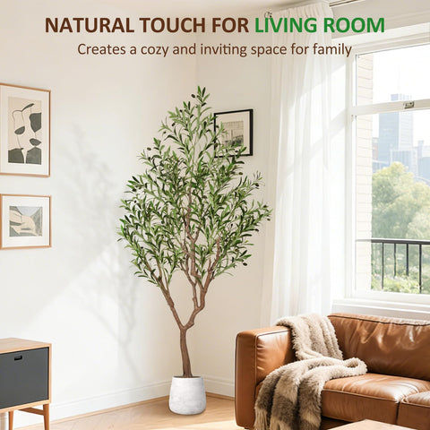 Suntee olive tree no-soil design helps keep interiors cleaner.