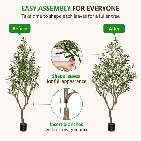 Suntee olive tree with pet-stable base for safer homes.