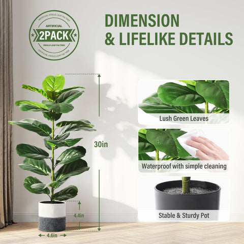 Suntee pots detail showing stable concrete bases for indoor and outdoor use