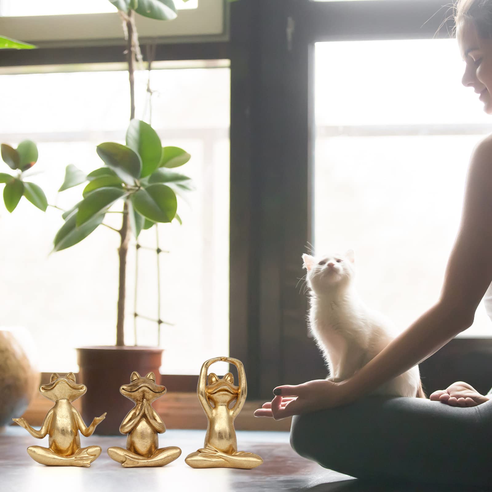 Suoed Gold Frog Figurines on shelf improve living room aesthetics.