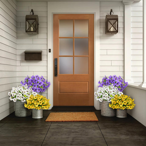 SupBri multi-color pansy set with purple, white, and yellow blooms