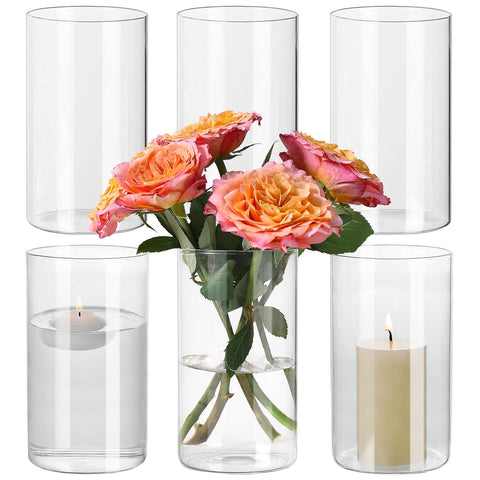 SUPMIND six-pack glass cylinder vase with a stable base for centerpieces.