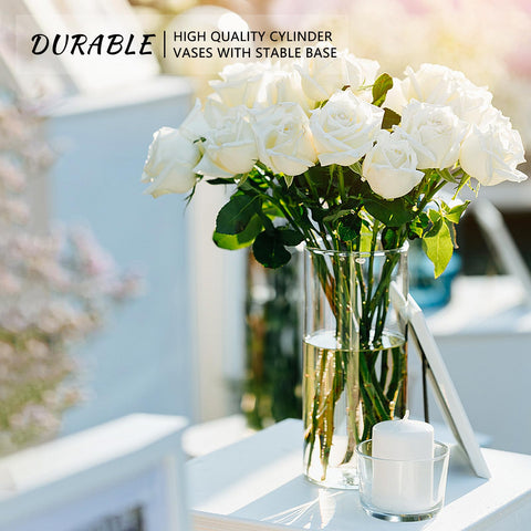 SUPMIND Minimalist clear vase collection to complement modern interior design.
