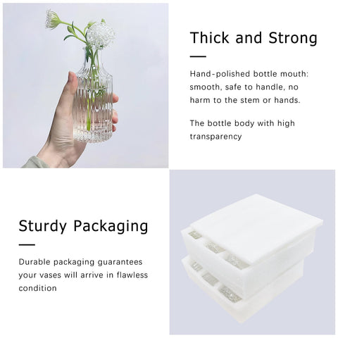 SUPMIND compact vases suitable for small blooms or diffuser sticks