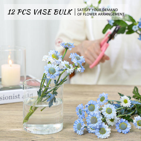 SUPMIND clear glass vase collection suitable for restaurants, gardens, and parties.
