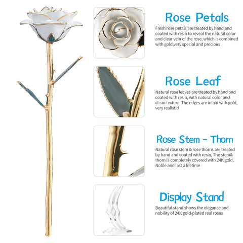 SW 24k gold dipped rose on desk decor, enhances workspace ambiance.