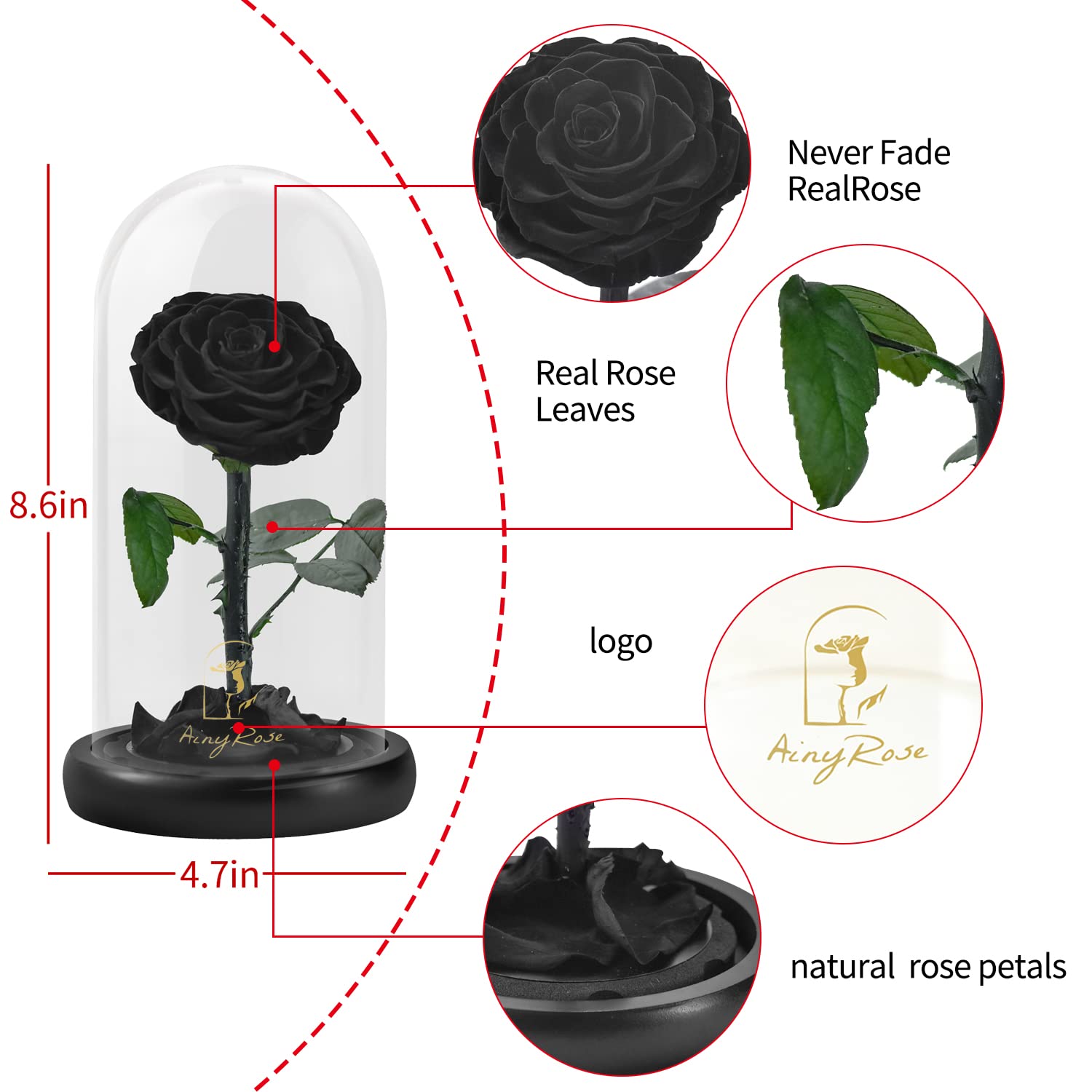 SW Forever Preserved Rose suitable for wedding or anniversary gifts.