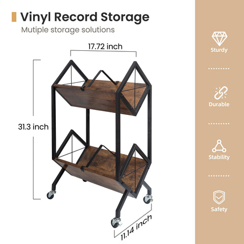 SwaaVee 2-tier record holder keeps albums organized and accessible.