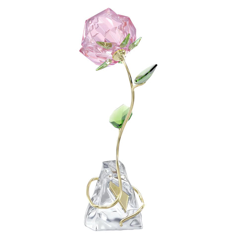 Swarovski Florere Rose perched on a clear crystal base for a floating look