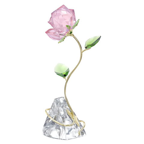 Swarovski Florere Rose showing a gold-tone stem for elegant contrast