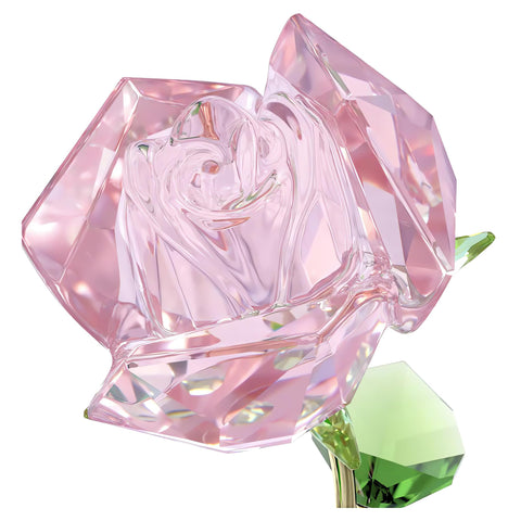 Swarovski Florere Rose in its gift box ready for gifting