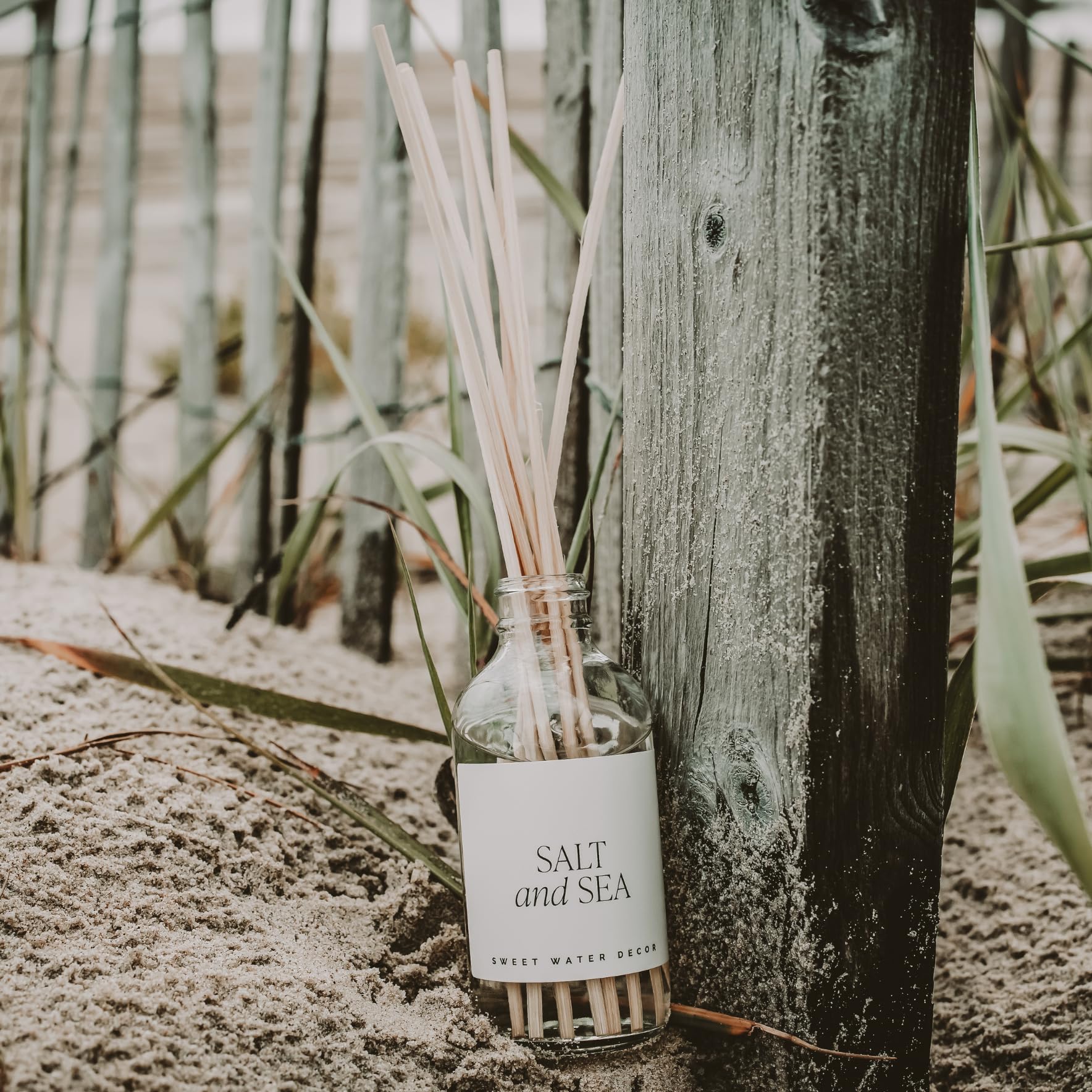 Sweet Water Decor diffuser near entryway greets guests with fragrance