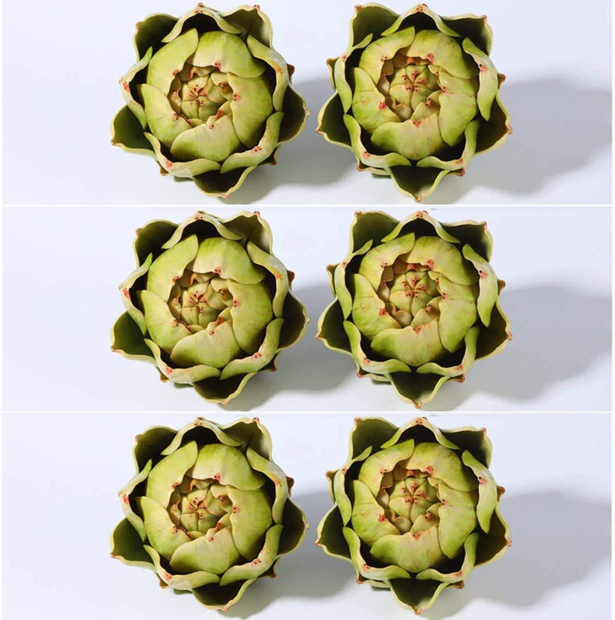 Sxowihz large green artichokes 6-pack in carton for home decor.